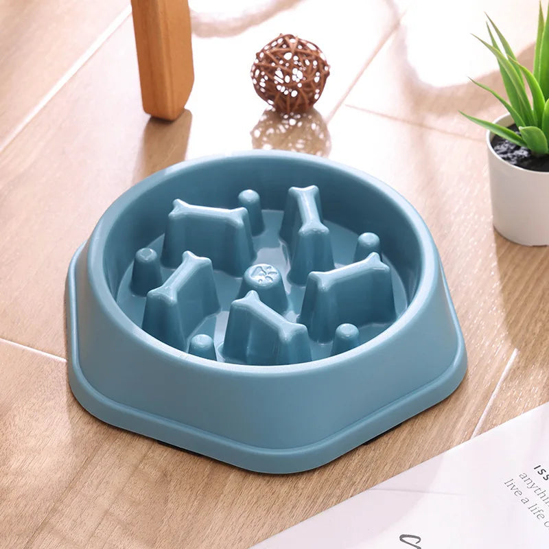 Cross-border hot-selling dog