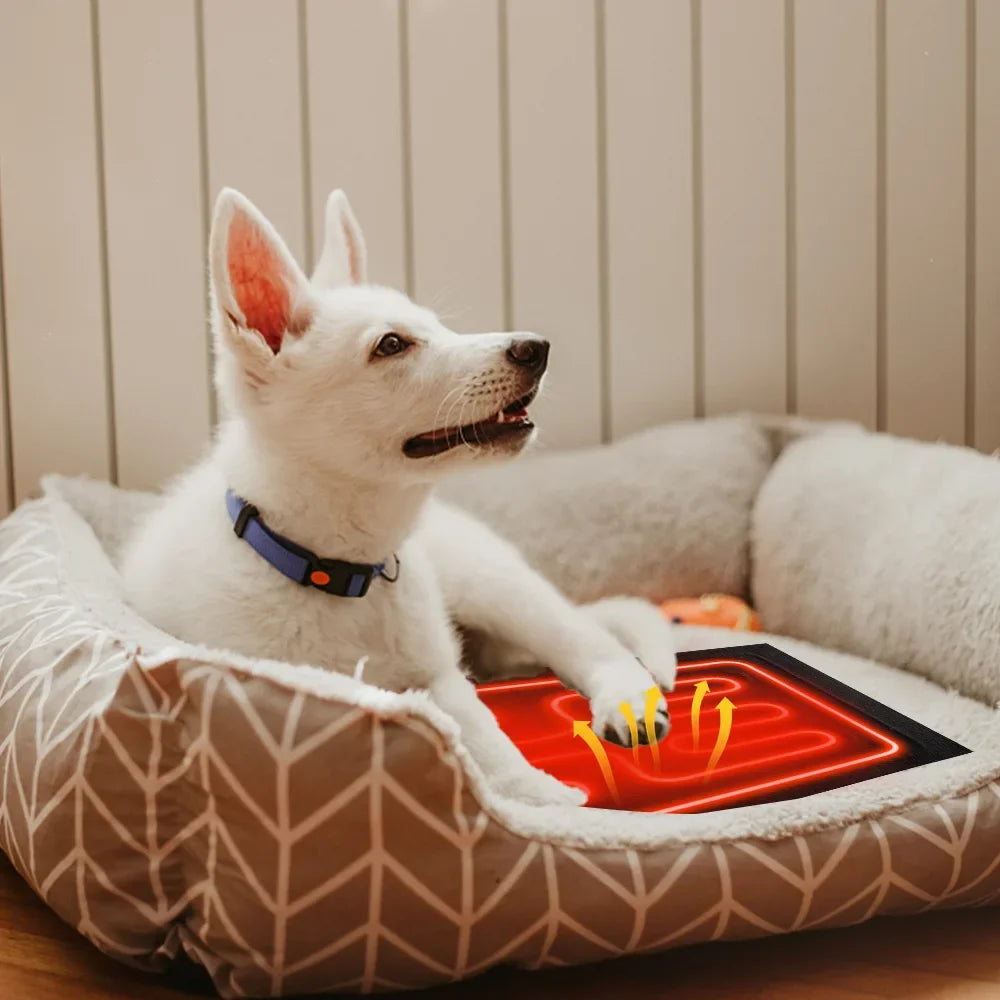 Pad Dog Cat Bed Heat Pad Pet Reptile Heating Warmer Pad