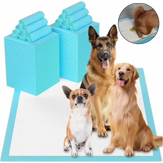 120Pcs Super Absorbent Pet Diaper Dog