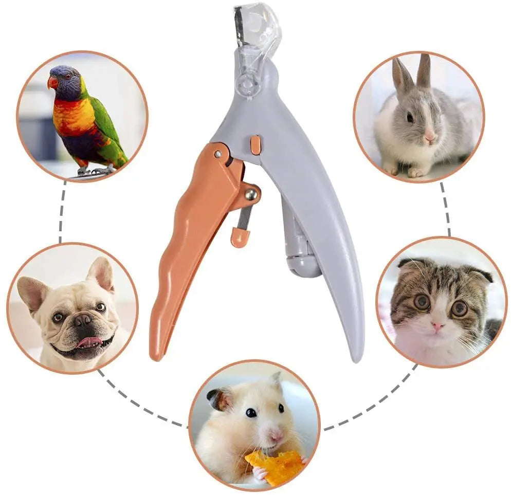 Professional Pet Nail Clipper Scissors with LED Light.