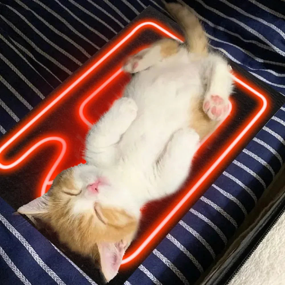 Pad Dog Cat Bed Heat Pad Pet Reptile Heating Warmer Pad