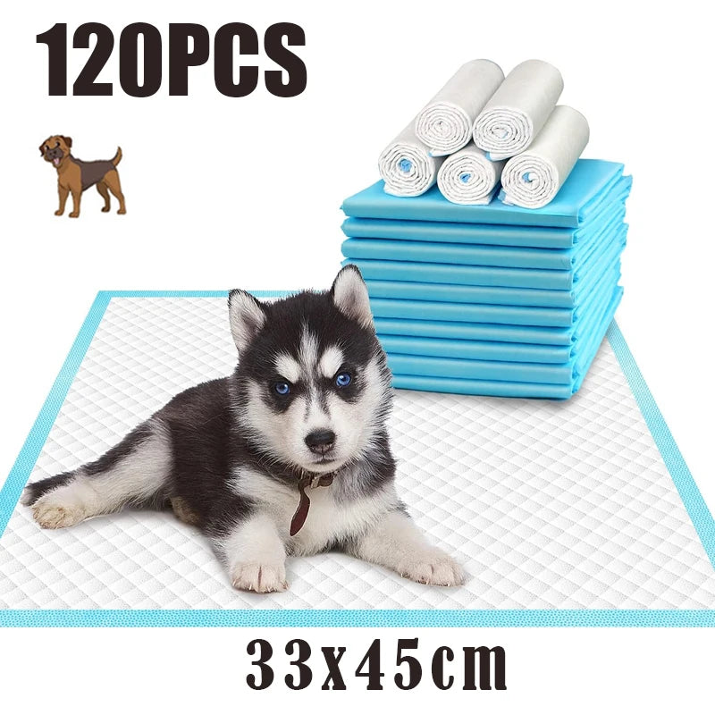 120Pcs Super Absorbent Pet Diaper Dog