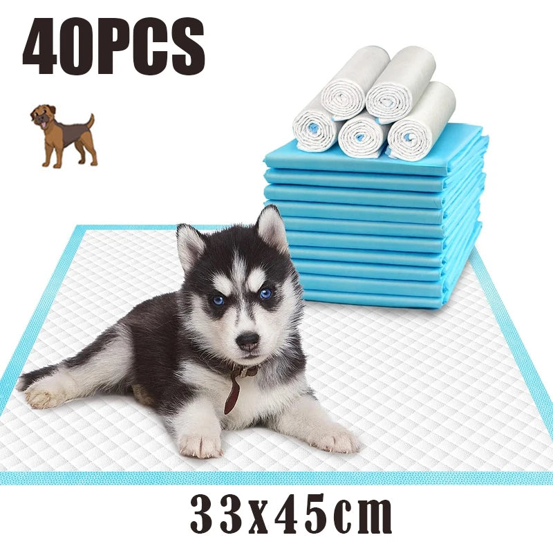 120Pcs Super Absorbent Pet Diaper Dog