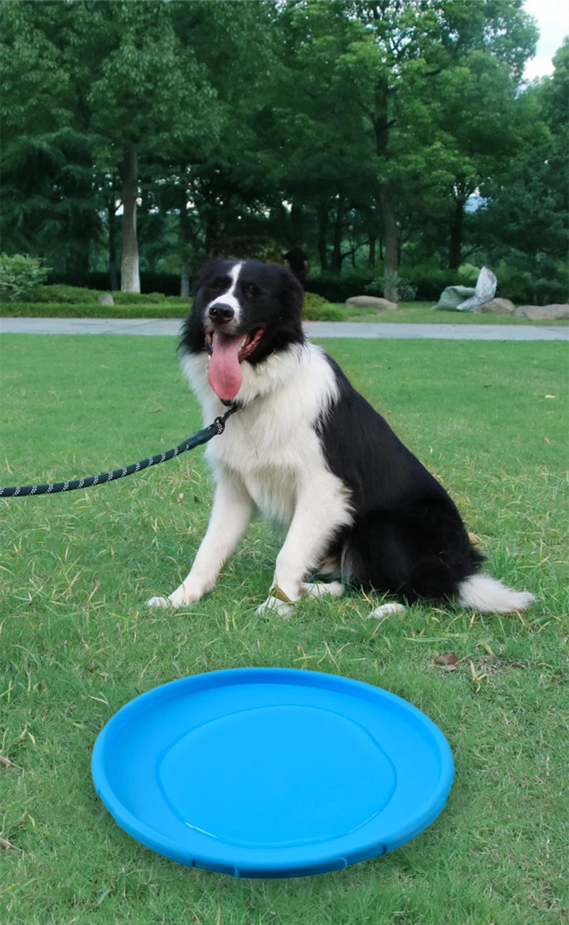 15/22cm Silicone Flying Disc Dog Toy Fashion Multicolor Resistant